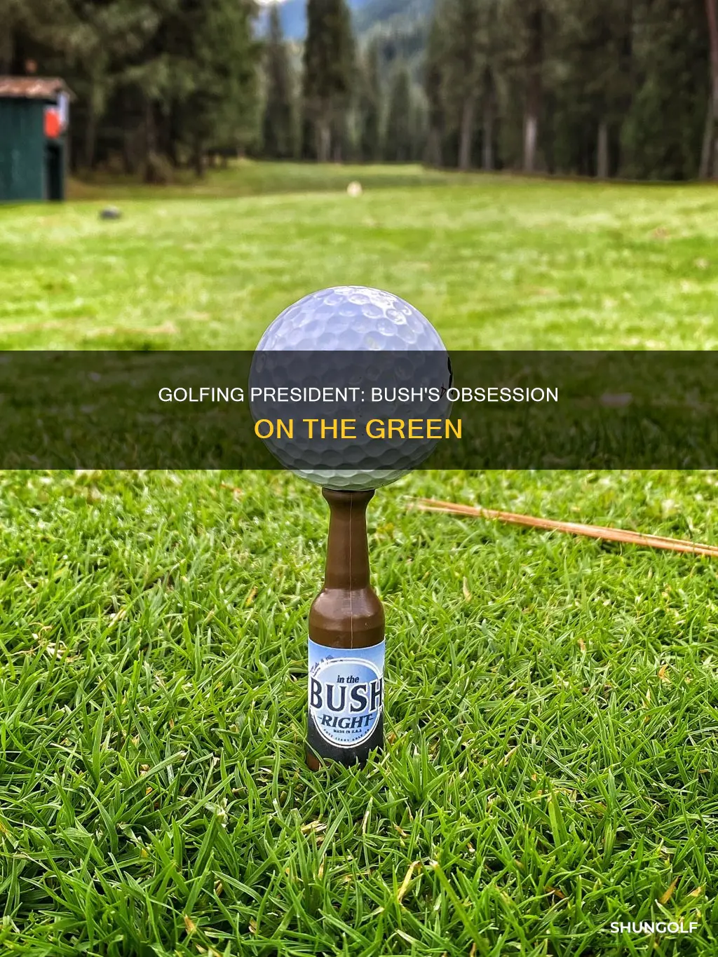 how many times did bush golf