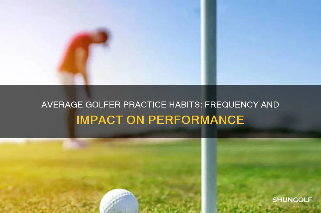 how many times does the average golfer practive