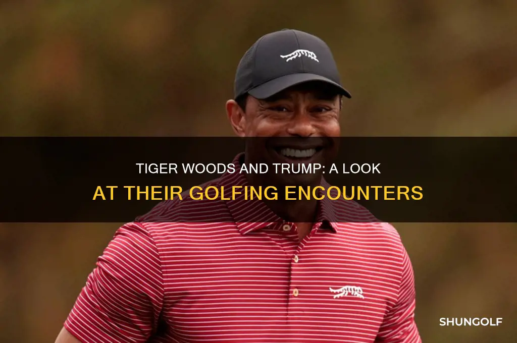 how many times has tiger golfed with trump