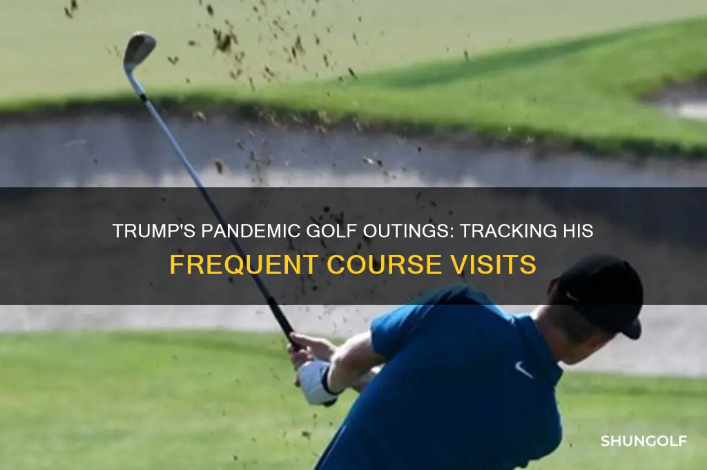 how many times has trump golfed during the pandemic