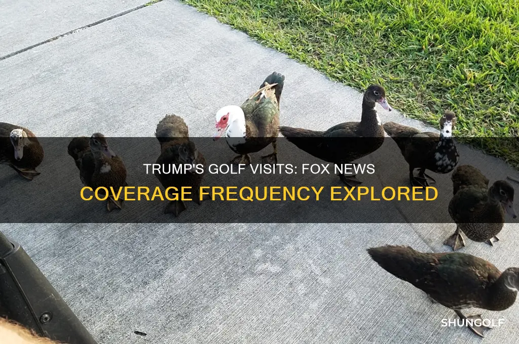 how many times has trump golfed fox news