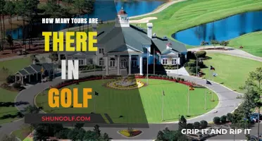 Exploring the Variety of Tours in Professional Golf Worldwide