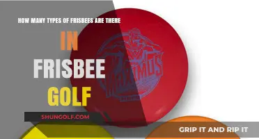 Exploring the Diverse Types of Frisbees in Disc Golf