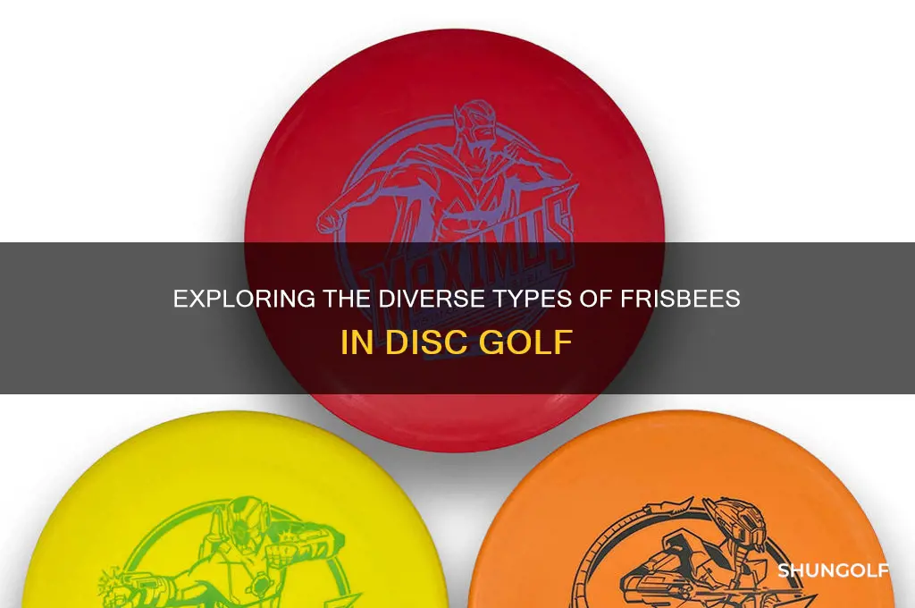 how many types of frisbees are there in frisbee golf