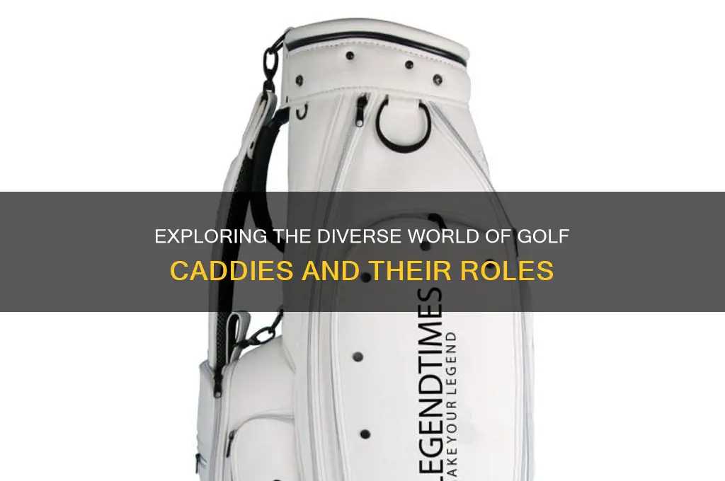 how many types of golf caddies are there
