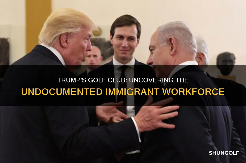how many undocumented immigrants from trumps golf club