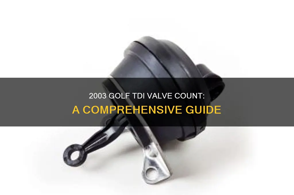 how many valves does a 2003 golf tdi have