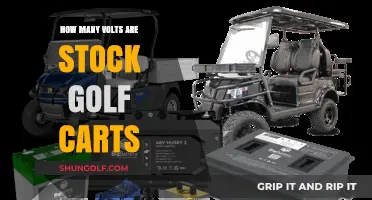 Standard Golf Cart Voltage: What’s the Power in Stock Models?