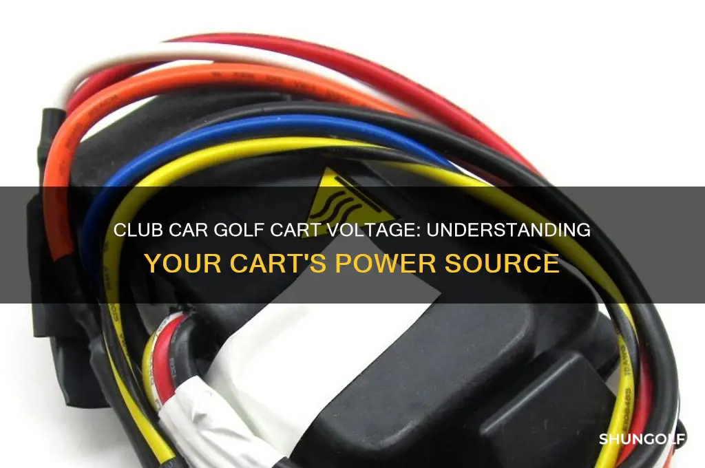 how many volts is a club car golf cart