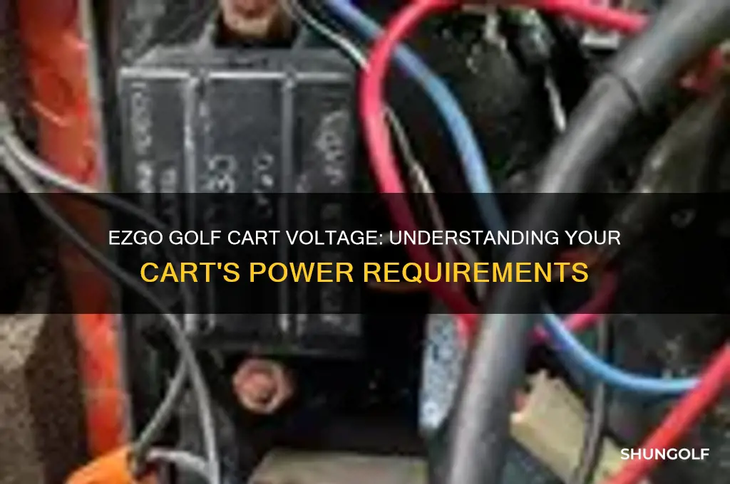 how many volts is a ezgo golf cart