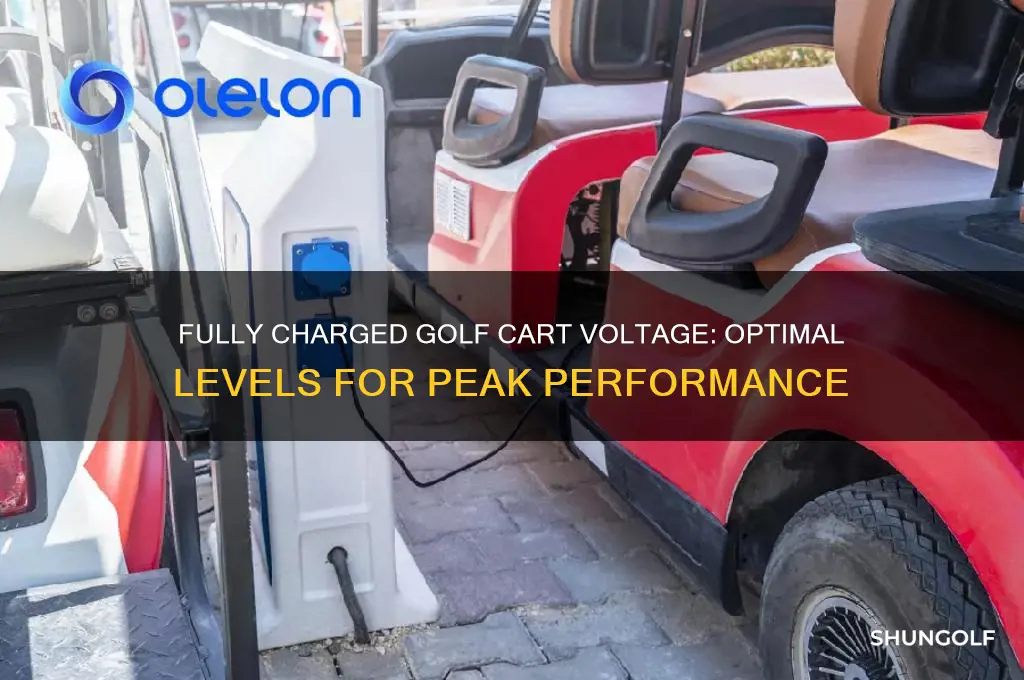 how many volts should a fully charged golf cart have