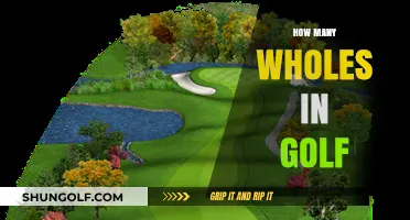 Golf Holes: How Many and Why?
