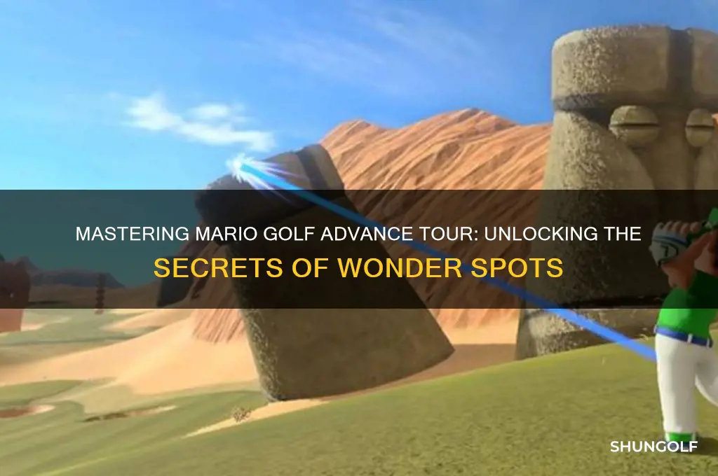 how mario golf advance tour wonder spot