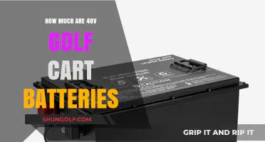 Cost Guide: 48V Golf Cart Batteries and Pricing Factors