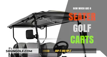 Pricing Guide: 6-Seater Golf Carts Cost and Value Insights