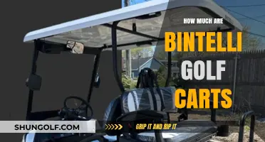Bintelli Golf Carts Pricing Guide: Costs and Value Explained