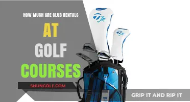 Golf Club Rentals: Cost Guide for Course Players