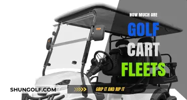 Golf Cart Fleet Costs: Pricing Guide for Businesses and Resorts