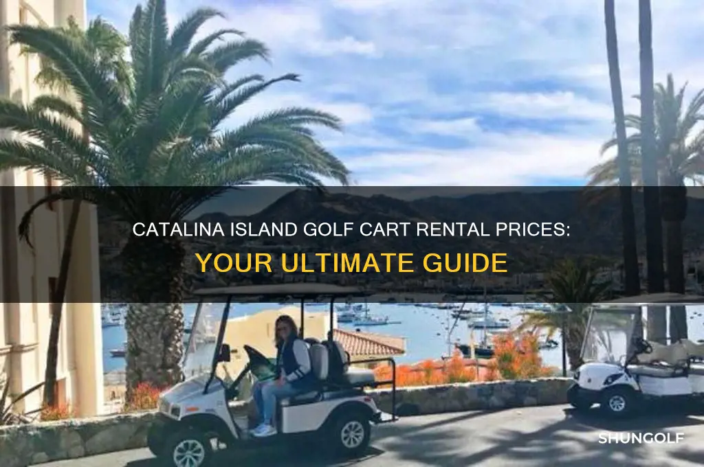 how much are golf cart rentals on catalina island