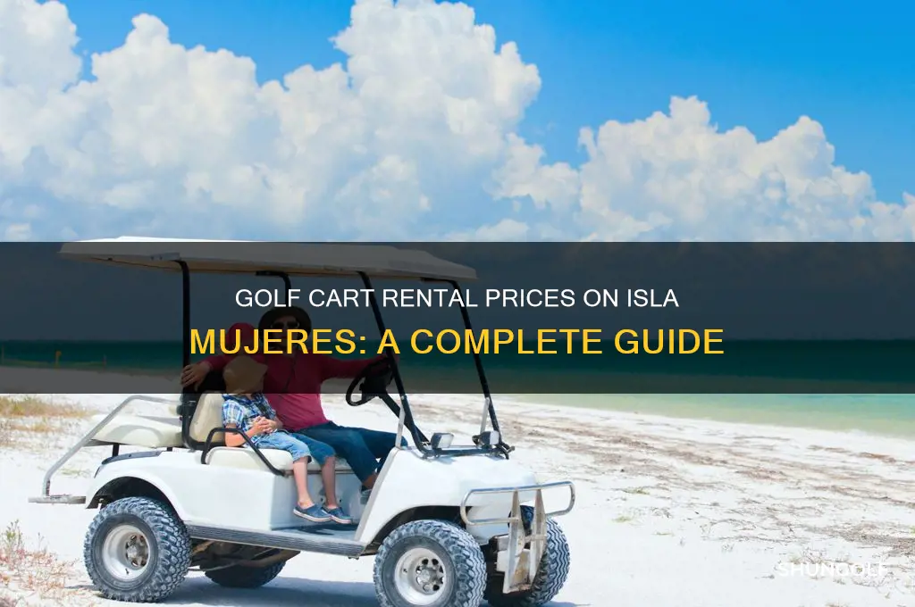 how much are golf cart rentals on isla mujeres