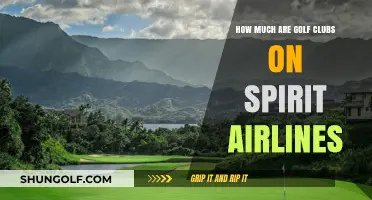 Golf Clubs on Spirit Airlines: Costs and Baggage Fees Explained