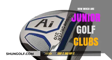 Affordable Junior Golf Clubs: Cost Guide for Young Players