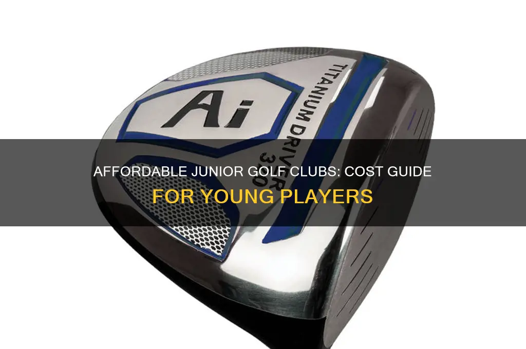 how much are junior golf clubs