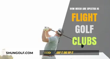 Spectra Hi Flight Golf Clubs: Pricing Guide for Budget-Conscious Golfers