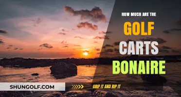 Bonaire Golf Cart Prices: A Comprehensive Guide for Buyers