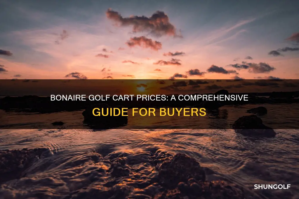 how much are the golf carts bonaire