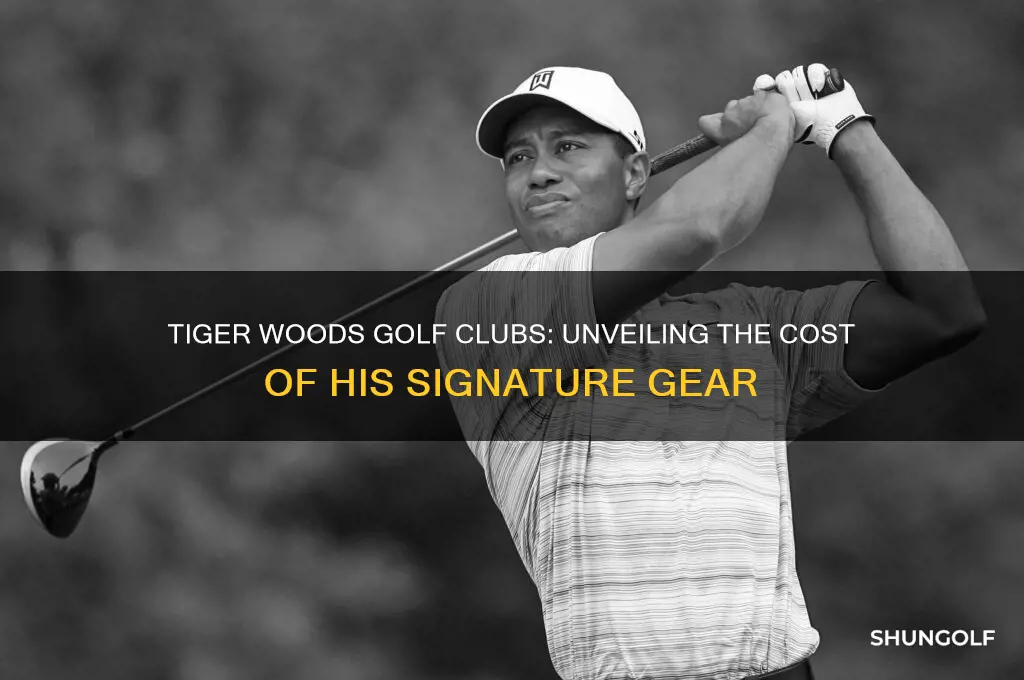 how much are tiger woods golf clubs