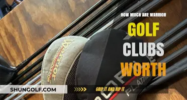 Warrior Golf Clubs Value: Assessing Their Worth and Market Price