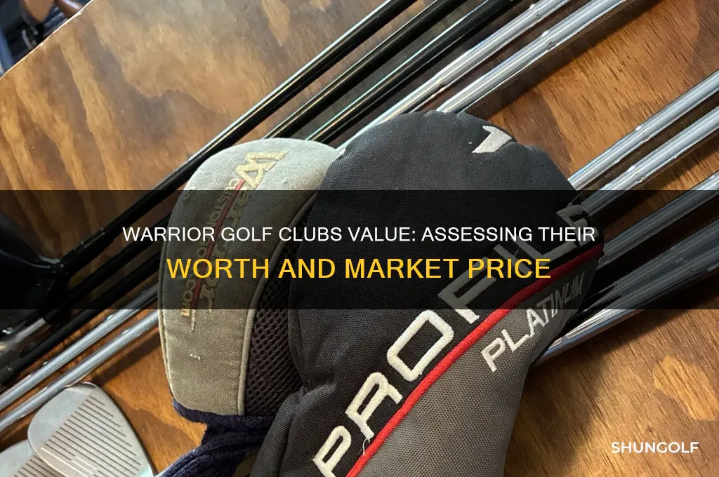 how much are warrior golf clubs worth