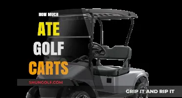 Exploring the Cost of Golf Carts: What to Expect