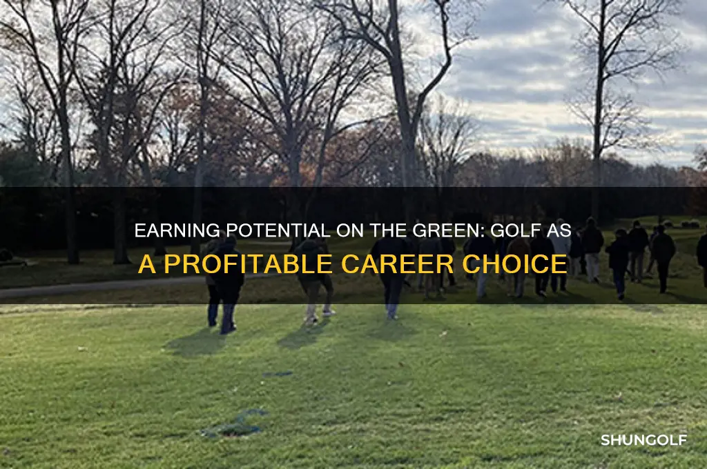 how much can you make playing golf