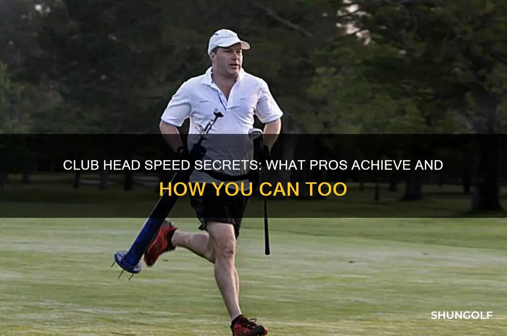 how much club head speed to be a professional golfer