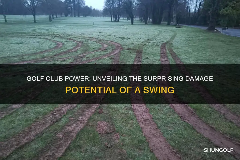 how much damage can a golf club do
