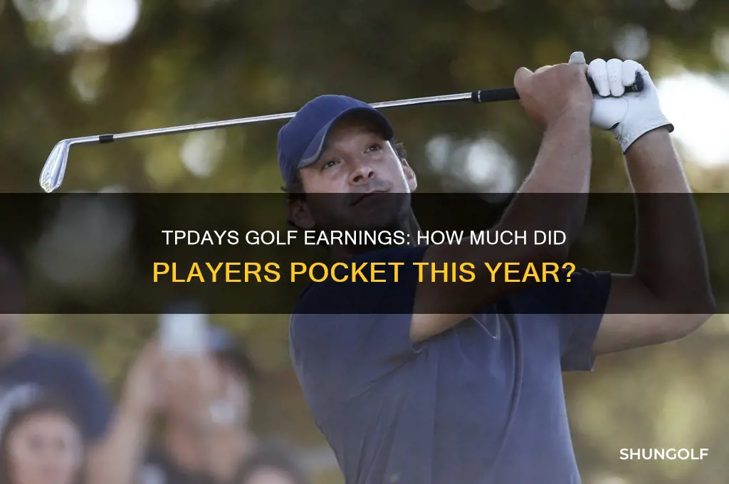 how much did player make at tpdays golf