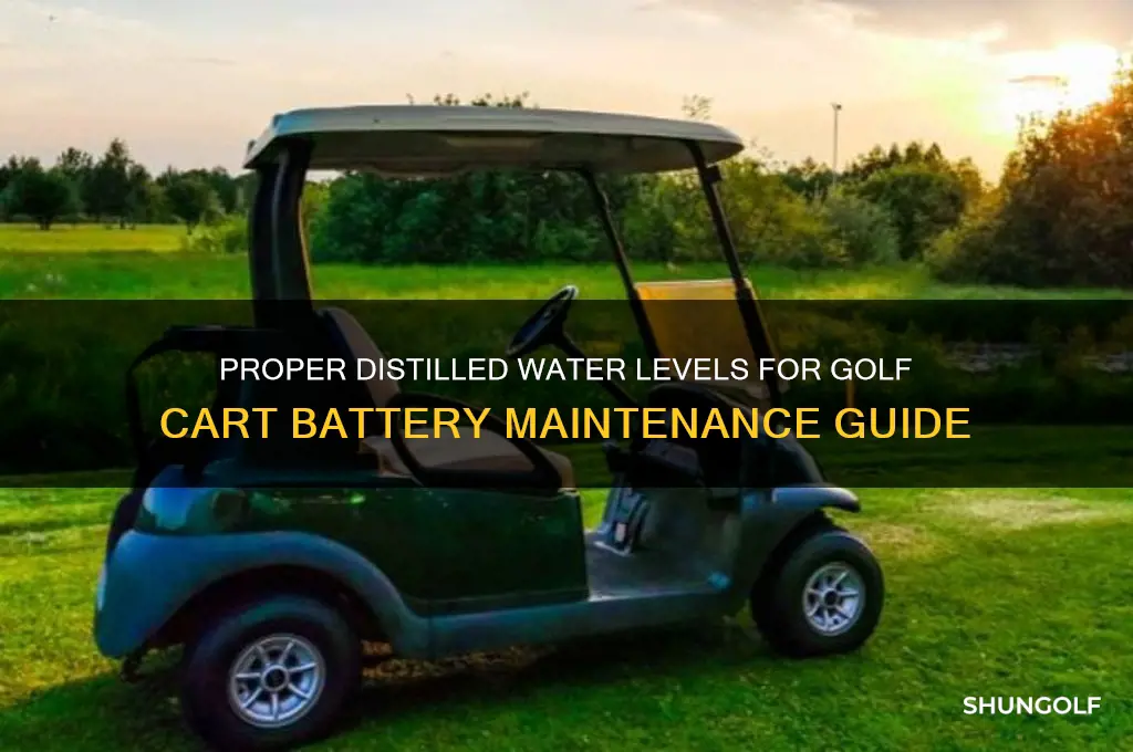 how much distilled water in golf cart battery