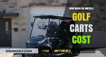 Bintelli Golf Carts Pricing Guide: Costs and Value Explained