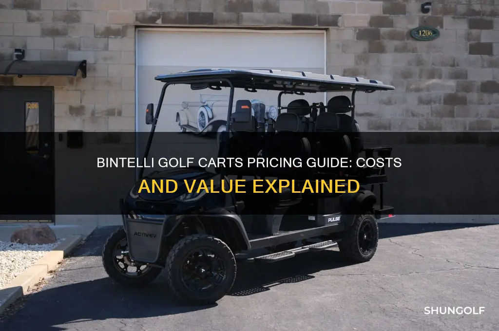 how much do bintelli golf carts cost