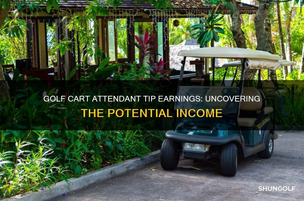 how much do golf cart attendants make in tips