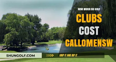 Golf Club Costs: Callomensway's Guide to Budgeting for Your Game