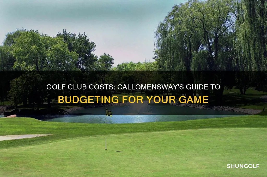 how much do golf clubs cost callomensway