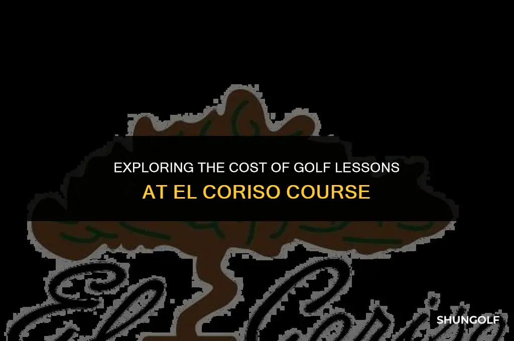 how much do lessons at el coriso golf course cost