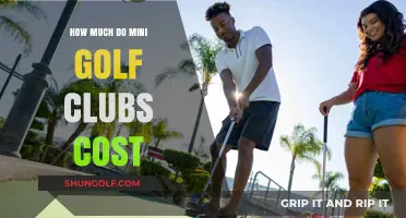 Mini Golf Clubs Cost Guide: Affordable Options for All Budgets