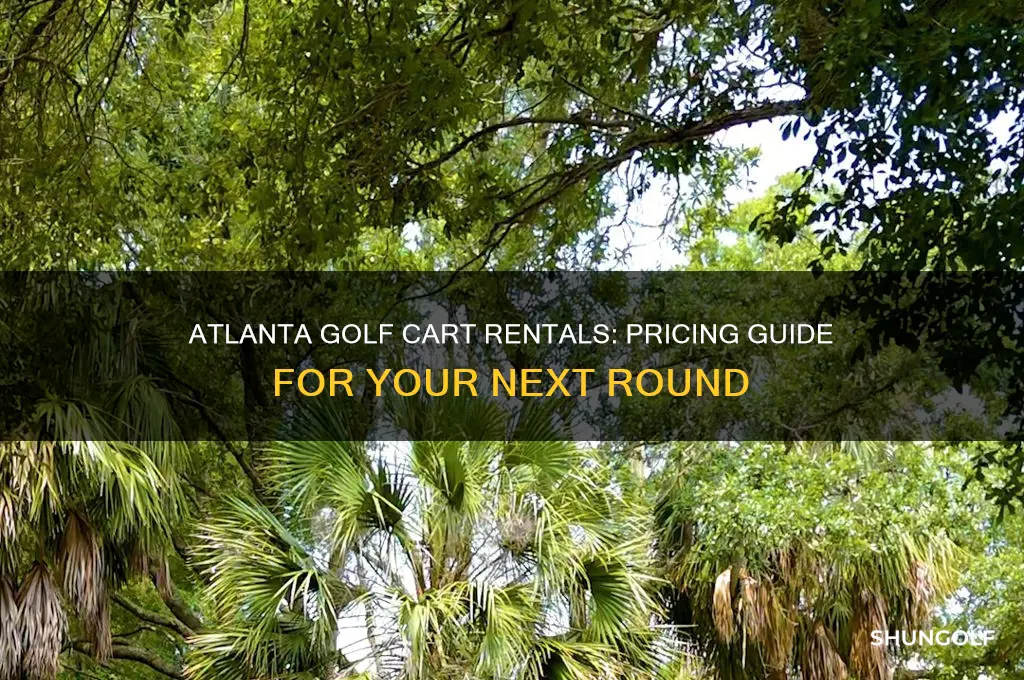 how much do rental golf carts cost atlanta