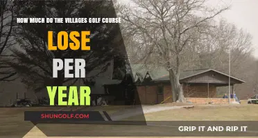 Financial Fairways: Uncovering the Annual Losses at Villages Golf Course