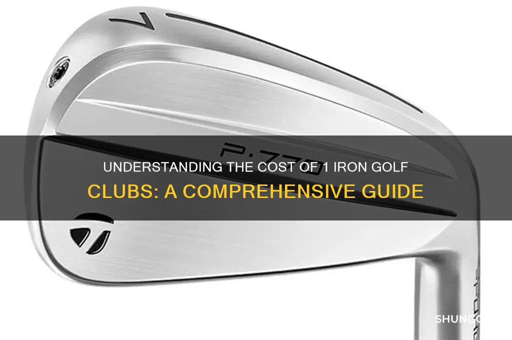 how much does 1 iron golf clubs cost