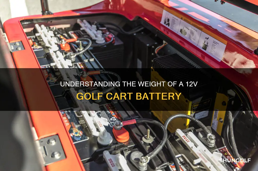 how much does a 12v golf cart battery weigh